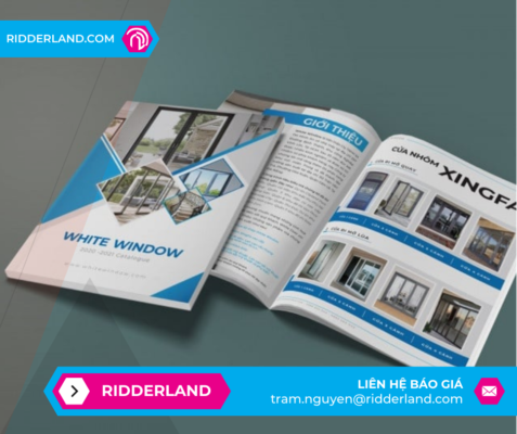 Top 50 Mẫu Catalogue Đẹp 12