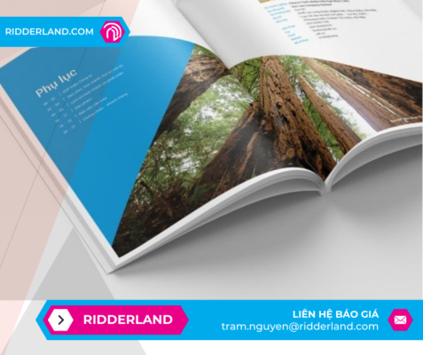 Top 50 Mẫu Catalogue Đẹp 41
