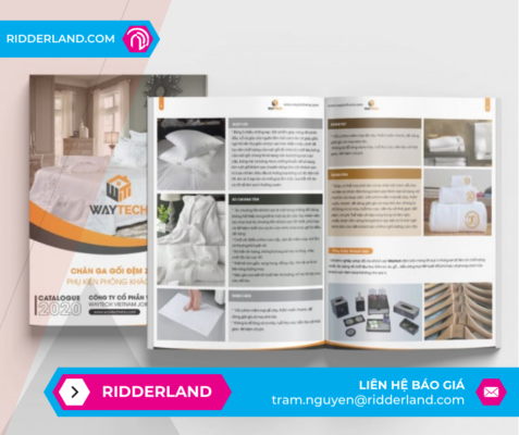 Top 50 Mẫu Catalogue Đẹp 47